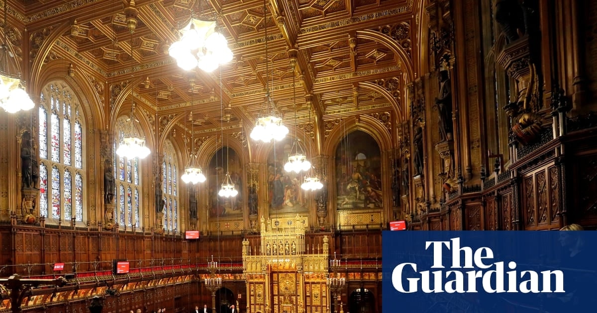 让球迷进入上议院？足球迷协会的席位之辩